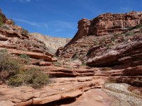 DSC00668.jpg DSC00668.jpg