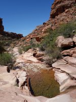 DSC00723.jpg DSC00723.jpg