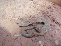 P1040141.JPG P1040141.JPG