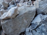 DSC00802.jpg DSC00802.jpg