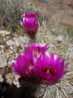 DSC00847.jpg DSC00847.jpg