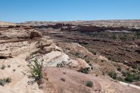 IMG_1700.jpg IMG_1700.jpg