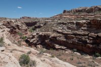 IMG_1704.jpg IMG_1704.jpg