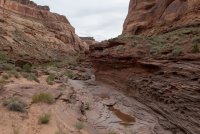 IMG_1708.jpg IMG_1708.jpg