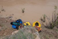 IMG_1716.jpg IMG_1716.jpg