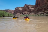 IMG_1727.jpg IMG_1727.jpg