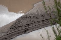 IMG_1820.jpg IMG_1820.jpg