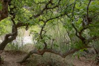 IMG_1829.jpg IMG_1829.jpg