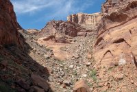 IMG_1831.jpg IMG_1831.jpg