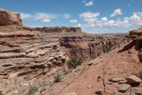 IMG_1833.jpg IMG_1833.jpg