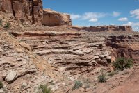 IMG_1834.jpg IMG_1834.jpg