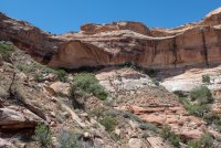 IMG_1836.jpg IMG_1836.jpg