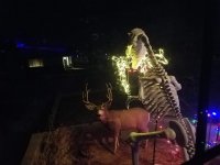 46523990_10213044402960348_897711717495078912_o.jpg 46523990_10213044402960348_897711717495078912_o.jpg