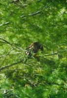 91C34724-8A28-4BDC-9A03-608DA469C42A.jpeg 91C34724-8A28-4BDC-9A03-608DA469C42A.jpeg