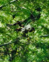 0B03E937-A260-4185-B23F-673904CB11A7.jpeg 0B03E937-A260-4185-B23F-673904CB11A7.jpeg