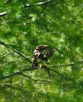 E773B830-432A-4404-B315-0A8CF8D289B3.jpeg E773B830-432A-4404-B315-0A8CF8D289B3.jpeg