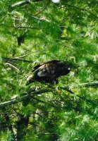 4E72943D-1C3C-430D-9EBF-F04FFA4A7C0A.jpeg 4E72943D-1C3C-430D-9EBF-F04FFA4A7C0A.jpeg