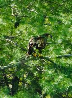 91C8DAC7-97DA-4304-B73A-F3DFC0E7C3D4.jpeg 91C8DAC7-97DA-4304-B73A-F3DFC0E7C3D4.jpeg