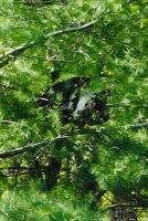 C6B42B4F-D08A-4BB7-B817-2728298B09D0.jpeg C6B42B4F-D08A-4BB7-B817-2728298B09D0.jpeg