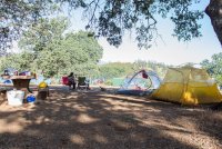 Mendocino National Forest-25.jpg