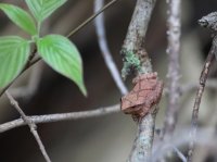 5J5A0010.JPG 5J5A0010.JPG