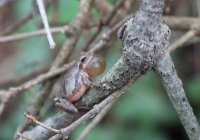 5J5A0021.JPG 5J5A0021.JPG