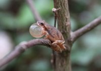 5J5A0044.JPG 5J5A0044.JPG