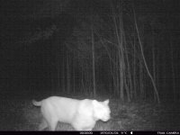 4E6271C7-462F-47B7-BBBF-2B8095FA68D1.jpeg 4E6271C7-462F-47B7-BBBF-2B8095FA68D1.jpeg