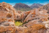 DSC_2002.JPG DSC_2002.JPG