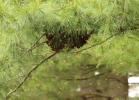 5J5A9934.JPG 5J5A9934.JPG