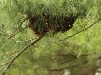 5J5A9935.JPG 5J5A9935.JPG