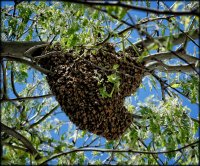 95F3A531-8BE0-4076-9282-A3B8950AD628.jpeg 95F3A531-8BE0-4076-9282-A3B8950AD628.jpeg