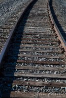 2D5A3101.jpg 2D5A3101.jpg