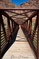 2D5A3107.jpg 2D5A3107.jpg