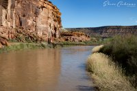 2D5A3109.jpg 2D5A3109.jpg