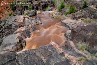 2D5A3145.jpg 2D5A3145.jpg