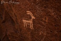 2D5A3159.jpg 2D5A3159.jpg