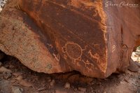 2D5A3160.jpg 2D5A3160.jpg