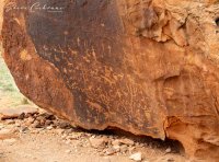 2D5A3197.jpg 2D5A3197.jpg