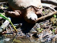 P1030446.JPG P1030446.JPG