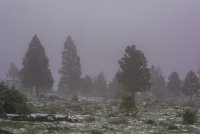 Escalante Memorial Romp 5-20191067.jpg