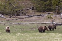 Day 2 - 1.jpg Day 2 - 1.jpg