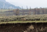 Day 2 - 4.jpg Day 2 - 4.jpg