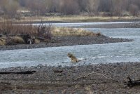 Day 2 - 5.jpg Day 2 - 5.jpg