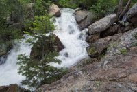 Thunderous Blanche 6-20190004.jpg