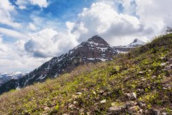 Horse Pasture Friday 6-20190123-recipe.jpg