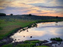 Horse Pasture Friday 6-2019.JPG