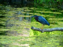 P1030636.JPG P1030636.JPG