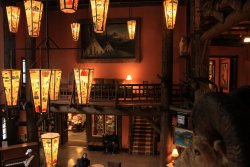 IMG_2971.jpg IMG_2971.jpg