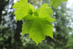 IMG_2973.jpg IMG_2973.jpg